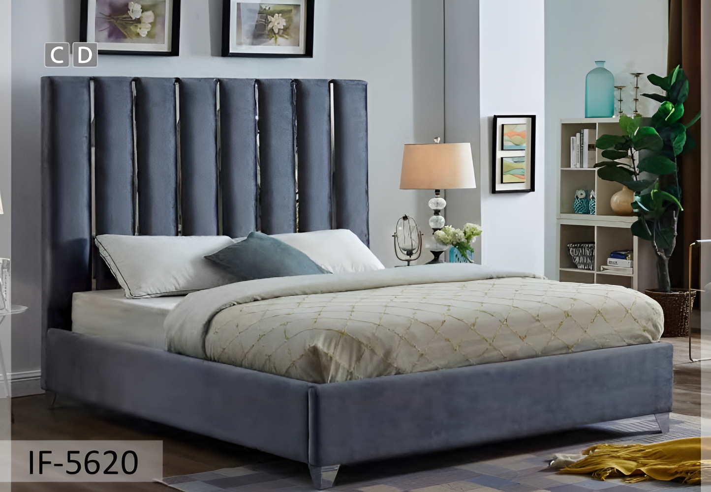 Le design du canal chromé présente un lit en velours – IF-5622