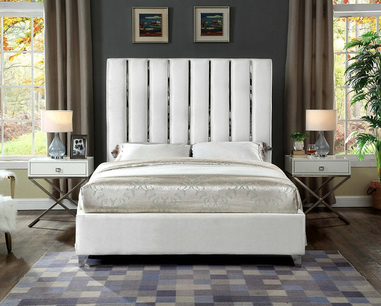 The Chrome Channel Design Features Velvet Bed – IF-5622